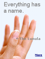 The Lunula Is the white half-moon part at the base of the fingernail or toe nail. It is paler than the rest of the nail because it isn't so firmly attached to the blood vessels and is most visible on the thumbs.